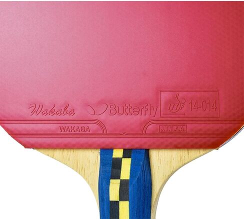 مضرب تنس الطاولة بترفلاي ناكاما S4 - قوة من ألياف الكربون مع تحكم مدهش - سلسلة ناكاما - تتضمن أكثر من 40 كرة - يوصى بها للعب بينج بونج ذو المستوى المتقدم in Kuwait