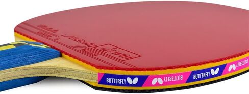 مضرب تنس الطاولة بترفلاي ناكاما S4 - قوة من ألياف الكربون مع تحكم مدهش - سلسلة ناكاما - تتضمن أكثر من 40 كرة - يوصى بها للعب بينج بونج ذو المستوى المتقدم in Kuwait