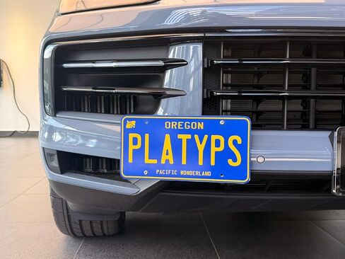 CravenSpeed Platypus License Plate Mount Compatible with Porsche 911 | 2012-2019 | No Drilling | Installs in Seconds | Made of Stainless Steel & Aluminum | Made in USA in Saudi Arabia