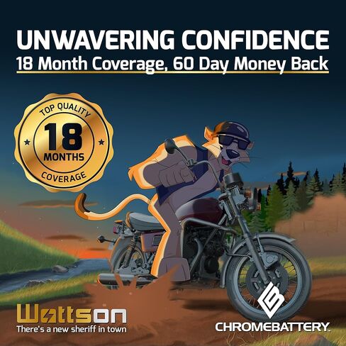 Chrome Battery 12V 7AH SLA Rechargeable Replacement Battery for UPS Back Up, Fish Finder, Electric Scooter, Go Kart, Quad, and More: 5.94 x 2.56 x 3.72, T1 Terminal, Pack of 2 in Saudi Arabia