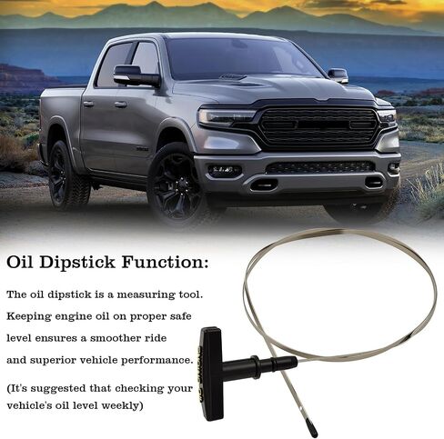5086843ab مؤشر DIPSTICK زيت المحرك ، متوافق مع دودج رام 2500 3500 بيك آب 5.9L RAM 4000 ديزل 5.9L L6 محرك مستوى السوائل DIP STACK استبدال 5086844AA ، 921127 ، 921128 in Kuwait