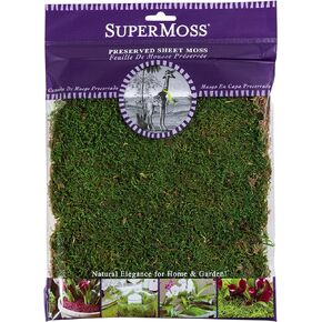 SuperMoss (21512) Preserved Sheet Moss, Fresh Green, 8oz (200 Cubic inch) (Pack of 2)