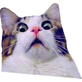 Cat Sticker, Cat Decal, Funny Cat Decal, Scaredy Cat sticker, Cat Decal in Kuwait