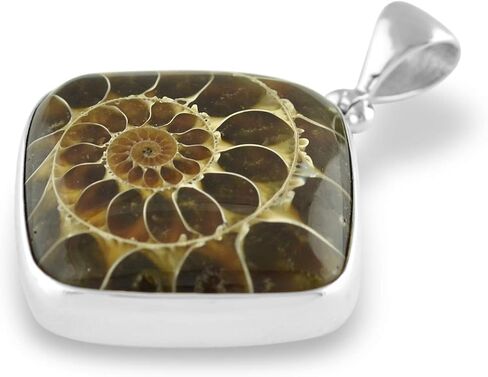 Starborn natural Ammonite Fossil Pendant 925 Sterling Silver in Saudi Arabia
