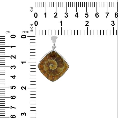 Starborn natural Ammonite Fossil Pendant 925 Sterling Silver in Saudi Arabia