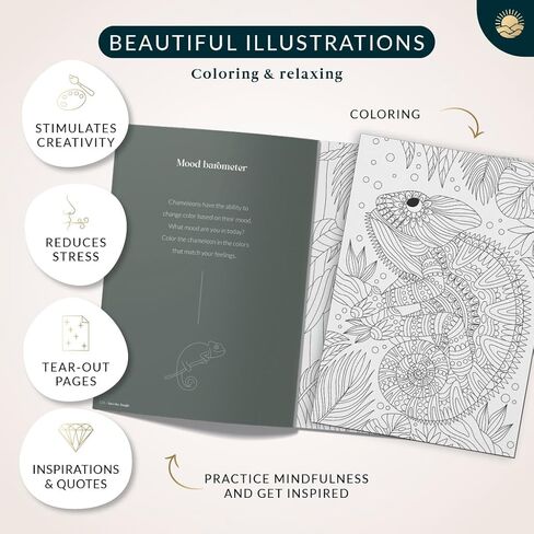 كتاب تلوين Mindmellow "أفكاري" للبالغين والمراهقين - كتاب تلوين لاسترخاء البالغين - اليقظة والسلام من خلال كتاب التلوين - تخفيف التوتر in Kuwait