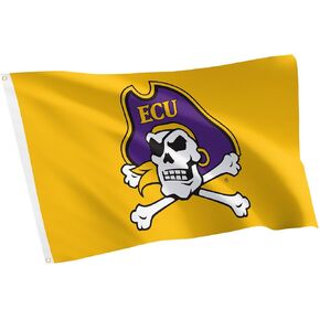 Desert Cactus East Carolina University Flag Pirates ECU Flags Banners 100% Polyester Indoor Outdoor 3x5 (Style A) in Kuwait