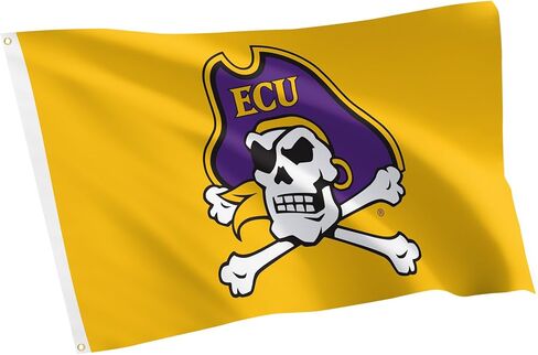 Desert Cactus East Carolina University Flag Pirates ECU Flags Banners 100% Polyester Indoor Outdoor 3x5 (Style A) in Kuwait