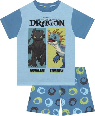 How To Train Your Dragon Pajamas, Long Sleeve Boys Pajamas, Fun Boys Pjs, Dragon Kids Pajama Set in Kuwait