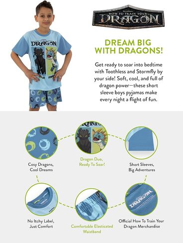How To Train Your Dragon Pajamas, Long Sleeve Boys Pajamas, Fun Boys Pjs, Dragon Kids Pajama Set in Kuwait
