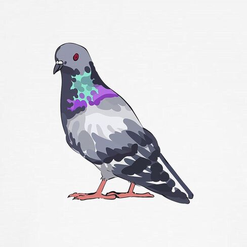 CafePress Pigeon Classic Thong Intonder ، سراويل داخلية للسيدات in Saudi Arabia
