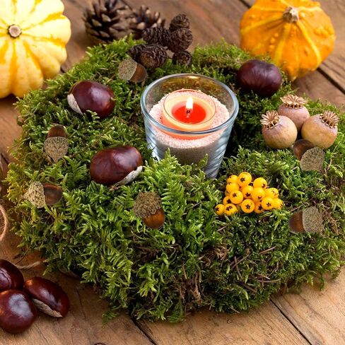 Winlyn 100 PCS Acorns الاصطناعية الواقعة الجوز البني البني الزخارف الخريف 1.2 "Rustic Farmhouse Home عيد الشكر الزفاف ترتيب الزهور أكاليل الزهور in Kuwait
