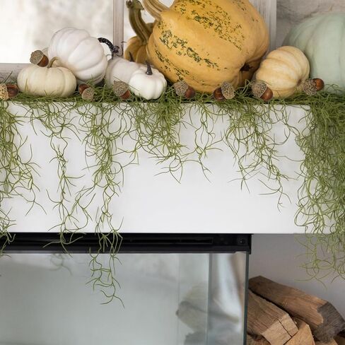 Winlyn 100 PCS Acorns الاصطناعية الواقعة الجوز البني البني الزخارف الخريف 1.2 "Rustic Farmhouse Home عيد الشكر الزفاف ترتيب الزهور أكاليل الزهور in Kuwait