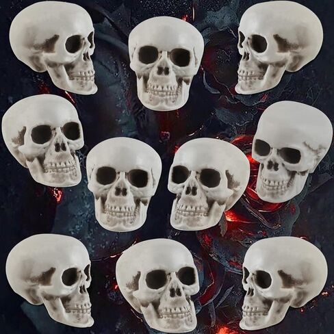 20 PCS Halloween Skulls واقعية المظهر الجماجم المظهر الرئيسي للهيكل العظمي لقضاء عيد الهالوين نموذج التزيين تمثال الهيكل العظمي البشري (1.6 × 1.8 × 2.3 بوصة) in Saudi Arabia