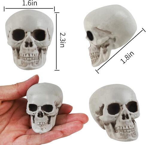 20 PCS Halloween Skulls واقعية المظهر الجماجم المظهر الرئيسي للهيكل العظمي لقضاء عيد الهالوين نموذج التزيين تمثال الهيكل العظمي البشري (1.6 × 1.8 × 2.3 بوصة) in Saudi Arabia