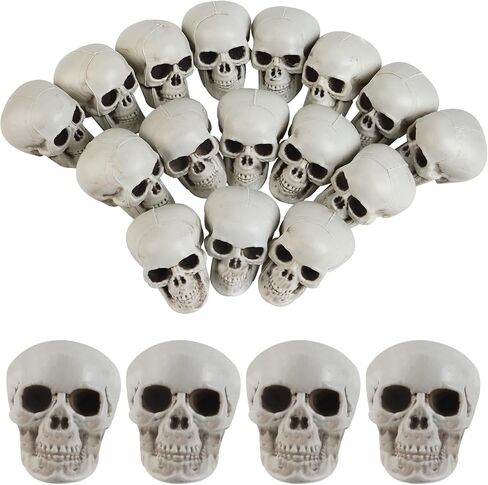 20 PCS Halloween Skulls واقعية المظهر الجماجم المظهر الرئيسي للهيكل العظمي لقضاء عيد الهالوين نموذج التزيين تمثال الهيكل العظمي البشري (1.6 × 1.8 × 2.3 بوصة) in Kuwait