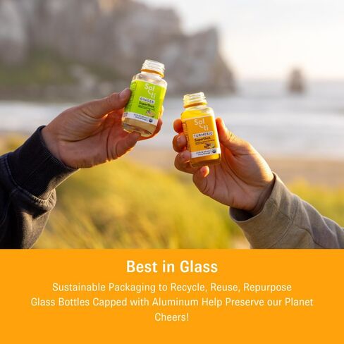 تساعد مشروب الخنجر الزنجبيل العضوي ، على المساعدة في استعادة العضلات ، وتداول ، وصحة الرئة ، والأطعمة الفائقة بواسطة SOL-TI ، ومزيج عصير البرتقالي والليمون ، و 12 حزمة (2.1 أوقية) in Kuwait