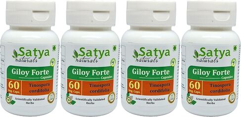 Giloy Forte Capsules 500 mg. 60 Veg. Capsule | Guduchi (Tinospora Cordifolia) Extract Capsules for Men and Women | Indian Ayurvedic Herbal Supplement/Remedies (1 Bottle of 60 Capsules) in Saudi Arabia
