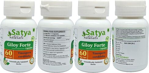 Giloy Forte Capsules 500 mg. 60 Veg. Capsule | Guduchi (Tinospora Cordifolia) Extract Capsules for Men and Women | Indian Ayurvedic Herbal Supplement/Remedies (1 Bottle of 60 Capsules) in Saudi Arabia