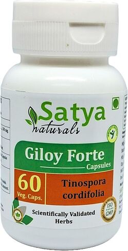 Giloy Forte Capsules 500 mg. 60 Veg. Capsule | Guduchi (Tinospora Cordifolia) Extract Capsules for Men and Women | Indian Ayurvedic Herbal Supplement/Remedies (1 Bottle of 60 Capsules) in Saudi Arabia
