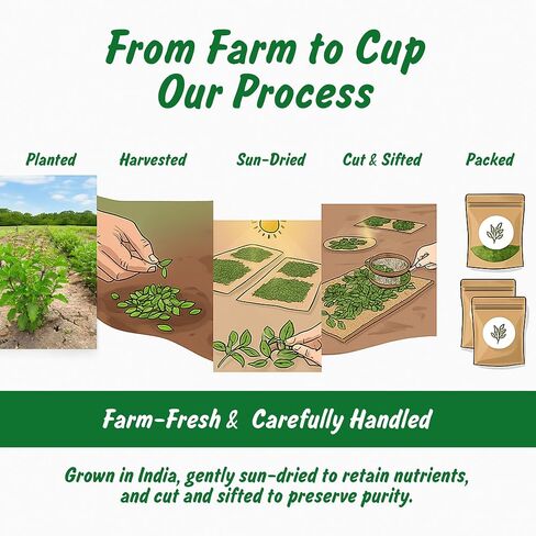التوابل الملف الشخصي USDA Tulsi Indian Tulsi/Holy Basil Cut & Sifted ، 2 أوقية ، مختبر تم اختباره للمعادن الثقيلة ، Sanctum ، Albahaca Sagrada in Saudi Arabia