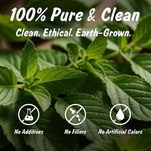 التوابل الملف الشخصي USDA Tulsi Indian Tulsi/Holy Basil Cut & Sifted ، 2 أوقية ، مختبر تم اختباره للمعادن الثقيلة ، Sanctum ، Albahaca Sagrada in Saudi Arabia
