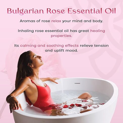 صرفا روز عضوية زيت الزيت الأسطوانة | بتلات بلغاريا وبيل الهندي | 10 مل من زيت العطور طويل الأمد للنساء والرجال | غير سامة وخالية من الكحول وسفر ودية in Kuwait