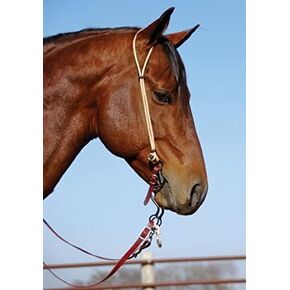 NRS Tack Rope Series Headstall