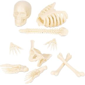 مجموعة أدوات Itty Bitty Bones تتوهج في الظلام مكونة من 10 قطع - عظام مصغرة لعروض الهالوين الصغيرة - عظام عشوائية من الفينيل الناعم جمجمة عظم الفخذ والعمود الفقري وأضلاع الحوض من Archie McPhee