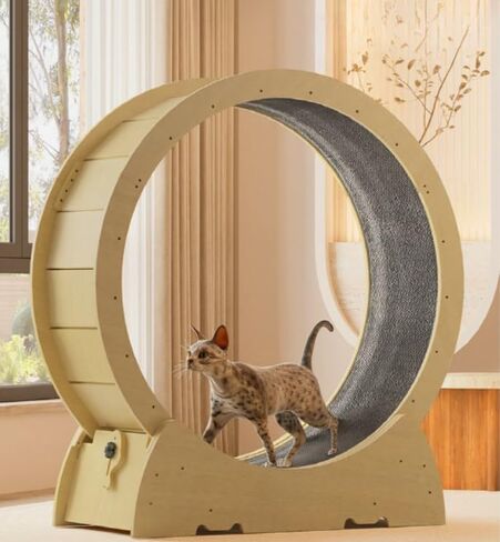 Cat Wheel Exercise Cat Treadmill for Fitness Weight in Saudi Arabia