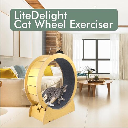Cat Wheel Exercise Cat Treadmill for Fitness Weight in Saudi Arabia
