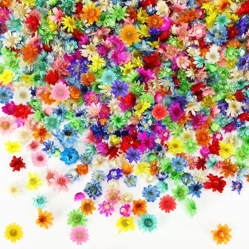 710 Pieces Small Dried Flowers Mini Flowers for Crafts, Real Natural Tiny Dried Pressed Flowers for DIY Resin Ornaments, Candles Making in Kuwait