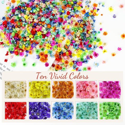 710 Pieces Small Dried Flowers Mini Flowers for Crafts, Real Natural Tiny Dried Pressed Flowers for DIY Resin Ornaments, Candles Making in Kuwait