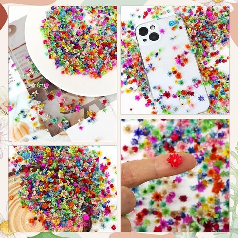 710 Pieces Small Dried Flowers Mini Flowers for Crafts, Real Natural Tiny Dried Pressed Flowers for DIY Resin Ornaments, Candles Making in Kuwait