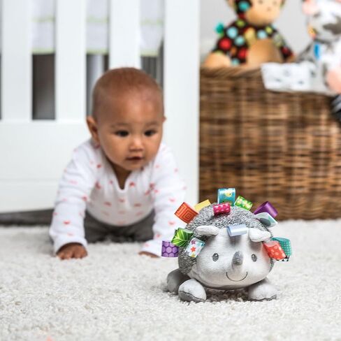Taggies Taggies Heather Hedgehog Squeeze & Squeak Soft Toy in Kuwait