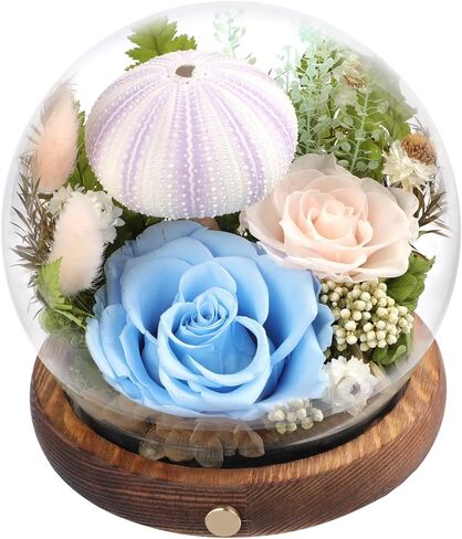 Long-Lasting Real Preserved Flowers in Glass Dome - Unique Starfish or Butterfly Eternal Roses Gift with LED Lights for Women Monther Indoor Decoration, Jellyfish and Yellow Green Rose in Saudi Arabia