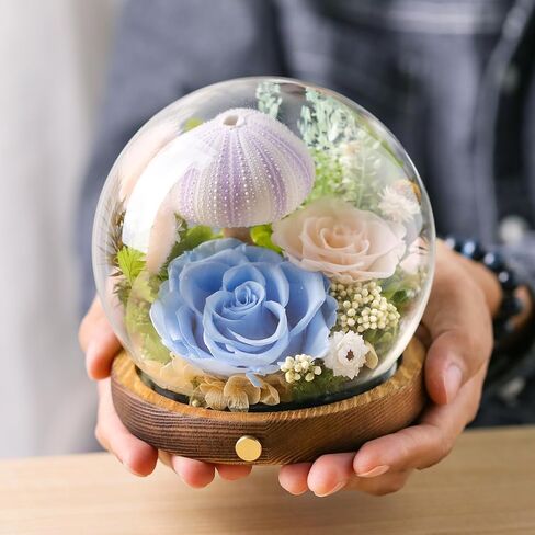 Long-Lasting Real Preserved Flowers in Glass Dome - Unique Starfish or Butterfly Eternal Roses Gift with LED Lights for Women Monther Indoor Decoration, Jellyfish and Yellow Green Rose in Saudi Arabia