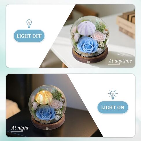 Long-Lasting Real Preserved Flowers in Glass Dome - Unique Starfish or Butterfly Eternal Roses Gift with LED Lights for Women Monther Indoor Decoration, Jellyfish and Yellow Green Rose in Saudi Arabia