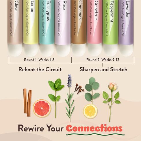 Smell Training Kit, Restore Sense of Smell and Taste, 8 Unique Scents, Made in The USA in Saudi Arabia