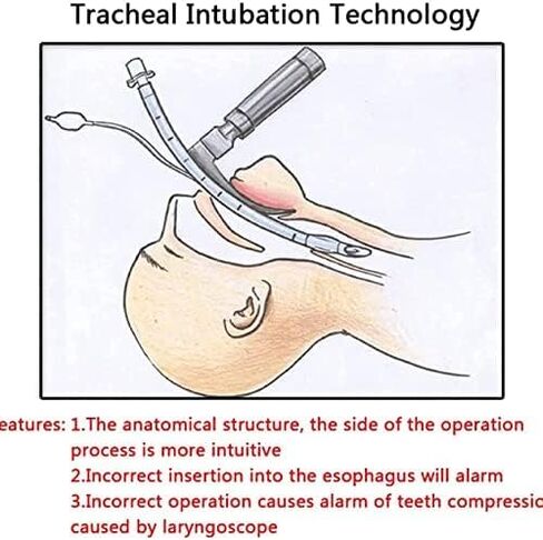 Airway Management Trainer with Stand, Intubation Manikin, Training Simulator, Training Manikin, Intubation Head Teaching Study Model Manikin for Science Lab Education in Saudi Arabia