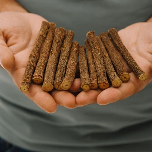 BIORR Licorice Root Sticks – 100% Natural Herbal Chew Sticks (10 pcs, 10cm) – Dried Mulethi/Glycyrrhiza Glabra – Herbal Tea & Relaxation – Premium Collection in Saudi Arabia