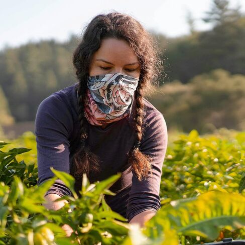 BUFF CoolNet UV Insect Shield Neck Gaiter, UPF 50 Sun Protection, Breathable, Versatile, Quick Dry Face Mask, Adult Size in Saudi Arabia