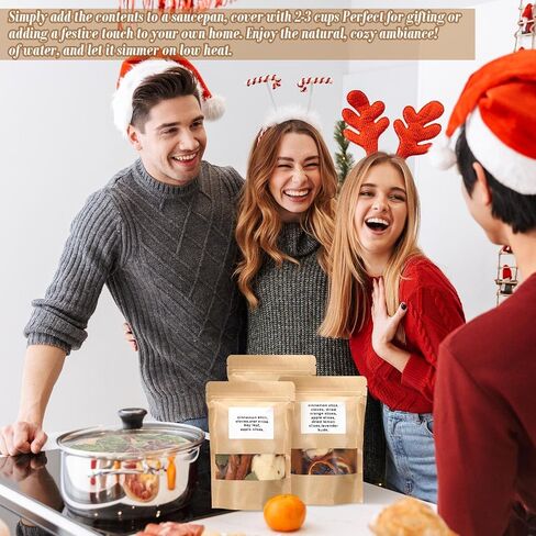 6 Pack Fall Stovetop Potpourri Autumn Simmer Pot Kit Christmas Dried Orange Slices Cinnamon Stick Air Freshener Sachet Ingredients Bowl Filler Decor for Holiday Fragrance Housewarming Gift in Saudi Arabia