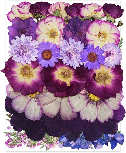301Pcs Dried Pressed Flowers Leaves & Butterfly Stickers for Crafts,TrendCart Real Natural Dry Pressed Flowers for Resin Molds Nails Art Candle Making Phone Cases DIY Art Crafts Jewelry Making in Saudi Arabia
