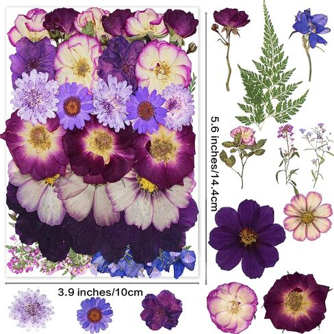 301Pcs Dried Pressed Flowers Leaves & Butterfly Stickers for Crafts,TrendCart Real Natural Dry Pressed Flowers for Resin Molds Nails Art Candle Making Phone Cases DIY Art Crafts Jewelry Making in Saudi Arabia