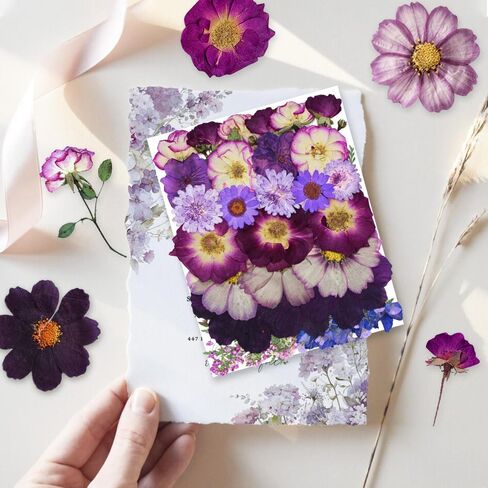 301Pcs Dried Pressed Flowers Leaves & Butterfly Stickers for Crafts,TrendCart Real Natural Dry Pressed Flowers for Resin Molds Nails Art Candle Making Phone Cases DIY Art Crafts Jewelry Making in Saudi Arabia