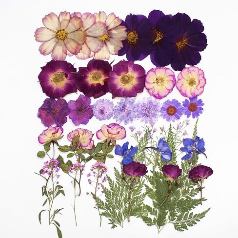 301Pcs Dried Pressed Flowers Leaves & Butterfly Stickers for Crafts,TrendCart Real Natural Dry Pressed Flowers for Resin Molds Nails Art Candle Making Phone Cases DIY Art Crafts Jewelry Making in Saudi Arabia