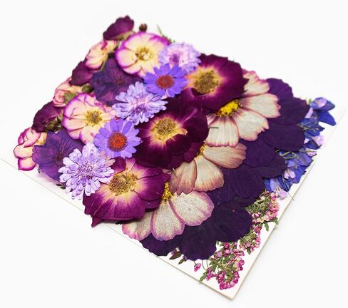 301Pcs Dried Pressed Flowers Leaves & Butterfly Stickers for Crafts,TrendCart Real Natural Dry Pressed Flowers for Resin Molds Nails Art Candle Making Phone Cases DIY Art Crafts Jewelry Making in Saudi Arabia