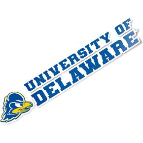 Desert Cactus University of Delaware Fightin Blue Hens UD Name Logo Vinyl Decal Laptop Water Bottle Car Scrapbook (8 Inch Sticker)