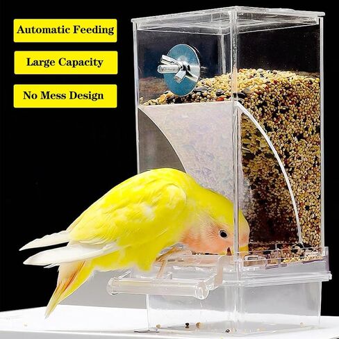 Automatic Bird Feeder for Cage, No Mess Parakeet Feeder Parrot Seed Food Container for Parakeets Cockatiels Lovebirds in Saudi Arabia